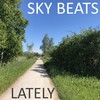Cruella - Sky Beats