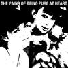 Everything With You - The Pains of Being Pure At Heart