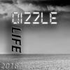 Life (Original Mix) - Qizzle