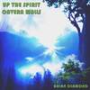 Up the Spirit Cavern Walls (From Ori and the Blind Forest) - Brian Diamond&Nautilus T Party