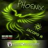 Phoenix (Ibiza Hard Dance Energy Dance Mix Las Salinas, Product of Hit Ma) - Jacopo M.
