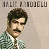 Sen Gidersen Ben Bu Ellerde Duramam - Halit Araboğlu&Cavit Deringöl