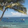 Caribbean Christmas - David Bruce