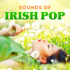 Falling Slowly - Songs of Dandelion