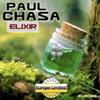 Elixir (Original Mix) - Paul Chasa