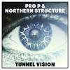 Cesspit(feat. Omus One) (Explicit) - Pro P&Northern Structure&Omus One