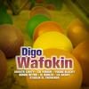 Digo Wafokin(feat. CR Yomar, Young Blacky, Domin Retro, El Roblex, Lil Hashy & Starlin El Tremendo) - Javaito Carty&CR Yomar&Young Blacky&Domin Retro&El Roblex&Lil Hashy&Starlin El Tremendo