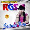 Aku Tak Biasa(feat. Dian Marsanda) - Dangdut Koplo Rgs&Dian Marsanda