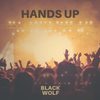 Hands Up - Black Wolf&Jake Avice