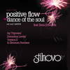 Dance Of The Soul (Stef LeFrancois Dub) - Positive Flow