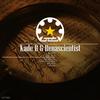 Vinci (Franzis-D Remix) - Kade B&Renascientist