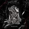 Damaged (Explicit) - RawSki