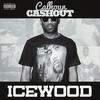 Boss up(feat. Payroll & Big Quis) (Explicit) - Cashout Calhoun&Payroll&Big Quis