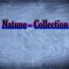 Otkroi Svoie Serdce (DJ Dmitrii Remix) - Natune