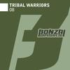 08 (Ugur Yurt & Tofke Remix) - Tribal Warriors&Ugur Yurt&Tofke