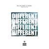Different(feat. Toosii) (Explicit) - Dillyn Troy&Toosii
