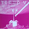 Spirit Of Joy (Original Mix) - Terra V.