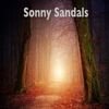 Elemental - Sonny Sandals&Shawn Ethier