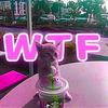 WTF (Explicit) - stainomh&reidnn&&Victor Fremont