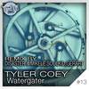 Watergater (GerArt Remix) - Tyler Coey&GerArt