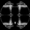 Bipolar Disorder (Original Mix) - The Animated Tiara