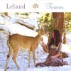 Don't Need a Reason - Leland