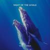 Night Of The Whale(feat. Teso) - Zyrnz&TESO