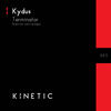 Terminator (Extended Mix) - Kydus