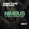 Notre Dame (Original Mix) - Gabriel Solume