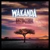 Wakanda - Mokobé