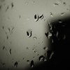 LoFi Rain in the Shed - Best Relaxing Spa Music&White Noise Baby Sleep&Echoes of Nature