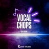 Vocal Chops (Original Mix) - DJ No Sugar