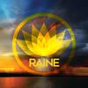Is This All (Extended Version) - Raine
