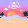 The Boys of Summer - CALEIDESCOPE&Micar&HALO&WLZN&Don Henley&Mike Campbell