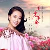 周老革命 - 曲丹