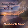 Summer Dream (Original) - Kuffdam&Plant