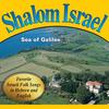 Yismechu Hashamayim - Voices of Israel