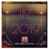 The Way You Move(Ib Music Ibiza) - DJ Lux