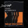 Hold You Down - DJ Voyst&Terri&Blaqbonez