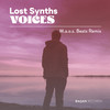 Voices (M.a.o.s. Beats Remix) - Lost Synths&M.a.o.s. Beats