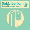I Heard You Calling (Art Of Tones Remix) - Art Of Tones&Sebb Junior