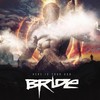 In the End - Bride
