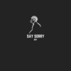 Say Sorry(feat. Venus in Crisis) (Explicit) - Boy&Venus in Crisis