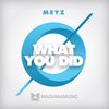 What You Did (Original Mix) - Meyz