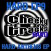 Raptcha (Hard Remix) - Audox&Paul Luffman