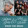 What You Mean (Explicit) - Nathan Gray&Red Tape Parade&Stefan Ronsberger