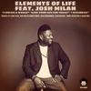 Berimbau (Honeycomb Vocal Mix) - Elements Of Life&Josh Milan