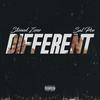 Different(feat. Sal Poe) (Explicit) - Stoned Zone&Sal Poe