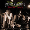 Lick and a Promise (Live) - Aerosmith&Joe Perry&Steven Tyler&N/A