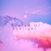 Scared Of Sunlight (feat. JC Stewart, Sam MacPherson & Ben Kessler) - Bennie Vale&JC Stewart&Sam MacPherson&Ben Kessler
